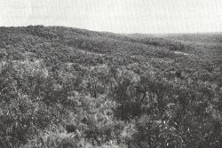 A Study of land in the catchments of the Otway Range and adjacent plains - junction track