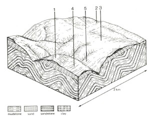 A Study of land in the catchments of the Otway Range and adjacent plains - junction track