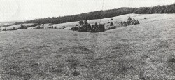 A Study of land in the catchments of the Otway Range and adjacent plains - kennedys creek