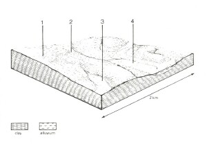 A Study of land in the catchments of the Otway Range and adjacent plains - kennedys creek