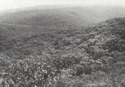 A Study of land in the catchments of the Otway Range and adjacent plains - moggs creek