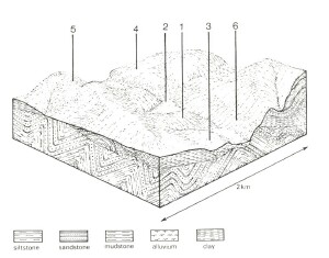 A Study of land in the catchments of the Otway Range and adjacent plains - moggs creek