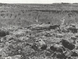 A Study of land in the catchments of the Otway Range and adjacent plains - mooleric