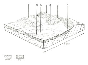 A Study of land in the catchments of the Otway Range and adjacent plains - mooleric