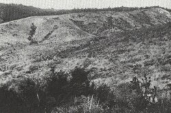 A Study of land in the catchments of the Otway Range and adjacent plains - mt mackenzie