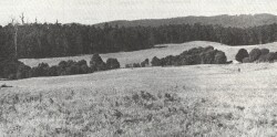 A Study of land in the catchments of the Otway Range and adjacent plains - mt sabine