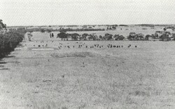 A Study of land in the catchments of the Otway Range and adjacent plains - paraparap