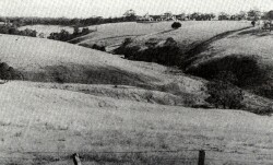 A Study of land in the catchments of the Otway Range and adjacent plains - pennyroyal
