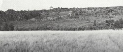 A Study of land in the catchments of the Otway Range and adjacent plains - porcupine creek