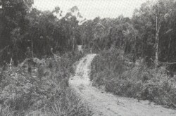 A Study of land in the catchments of the Otway Range and adjacent plains - redwater creek