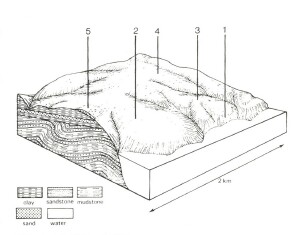 A Study of land in the catchments of the Otway Range and adjacent plains - rivernook
