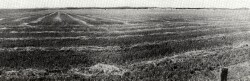 A Study of land in the catchments of the Otway Range and adjacent plains - thompson creek