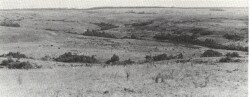 A Study of land in the catchments of the Otway Range and adjacent plains - tomahawk creek