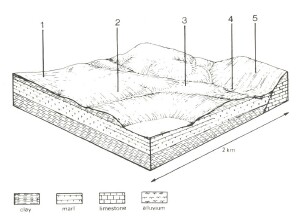 A Study of land in the catchments of the Otway Range and adjacent plains - warre
