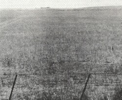 A Study of land in the catchments of the Otway Range and adjacent plains - winchelsea