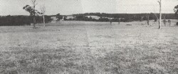 A Study of land in the catchments of the Otway Range and adjacent plains - wonga