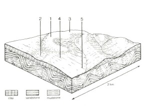 A Study of land in the catchments of the Otway Range and adjacent plains - wonga