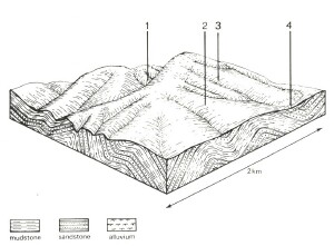 A Study of land in the catchments of the Otway Range and adjacent plains - yahoo creek