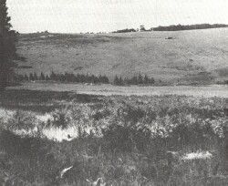 A Study of land in the catchments of the Otway Range and adjacent plains - yeodene