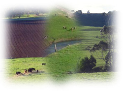 Photo: Corangamite Land & Water Management Montage