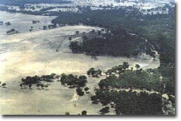 Image: Eruption Point