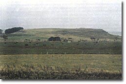 Image: Eruption Point Ballarat Mt Lawaluk