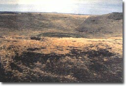 Image: Eruption Point Corangamite Mt Myrtoon