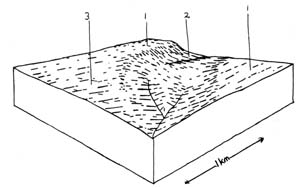 Simpson Cross Section