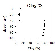SW30 Clay