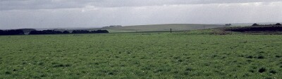 SW30 Landscape