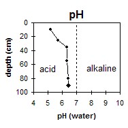 SW30 pH