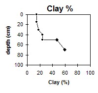 SW31 Clay