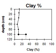 SW32 Clay