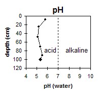 SW32 pH