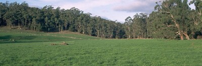 Sw33 Landscape