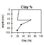 SW35 Clay