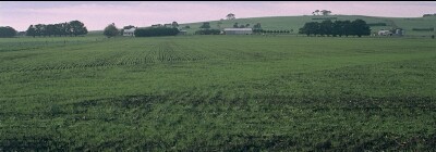 SW35 Landscape