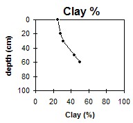 SW36 Clay