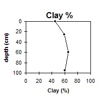 SW37 Clay