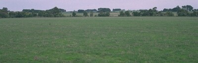 SW37 Landscape