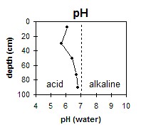 SW38 pH