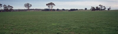 SW39 Landscape