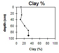SW40 Clay