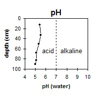 SW40 pH