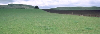 SW8 Landscape