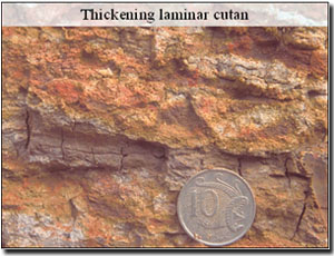 Photo: Thickening Laminar Cutan
