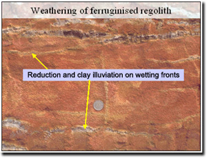 Photo: upper part of a ferricrete in the Hanson Plain Sand