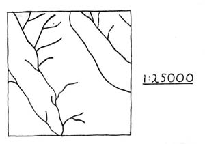 Image:  Warre drainage pattern
