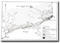 8822 Mallacoota