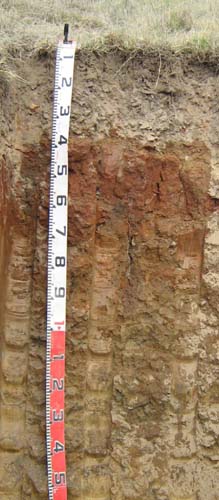 Soils and lanforms of the Bairnsdale Dargo region - a guide to the major agricultural soils of East Gippsland 2011 - Dargo EG208 profile